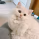 9090