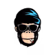 ZaidBSousa