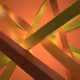 0x06aa6919e1bbe186ef7e5ddbbd3290f3c6f22870