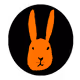 OrangeHare_Newborn
