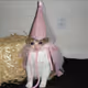 erkymcgerky