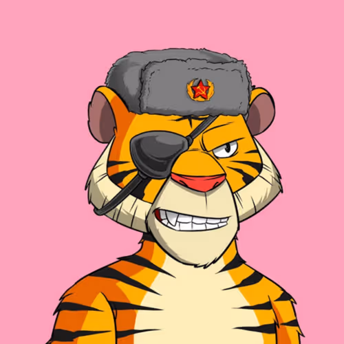 OpenSea profile picture for @RockyRoy