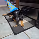 GizDaWiz