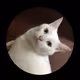 0x06f4c1bd4cb341ac1626cbfa39cc73fa15ca09e6