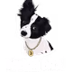 PickMyOfferItsGood