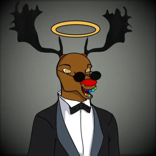OpenSea profile picture for @maged
