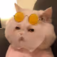 jfjghk