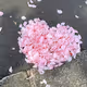 ball66
