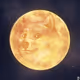 Thedogemoon