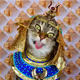 The___Cat