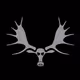 sickmoose