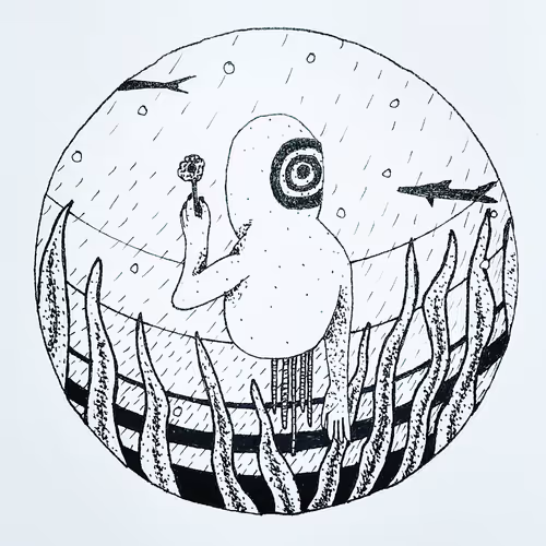 OpenSea profile picture for @FUNGI