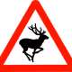 Town-Elk-Editions
