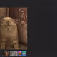 0x0890f7b1f9f77933fd0cd25e9a965dfabe0d125c