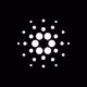 0x089c9e096487ac5928e58da794f1e90aef0abd9c