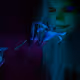 dreamsynapse