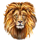 Cheetahbloom