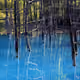 0x08db2c85950f596dadf7108363a6b344bff07be1