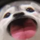 GFAWQDqf