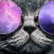 CryptoWolfX156