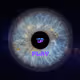 0x08f563db8253b0d1962a0865872207ed3418c431
