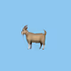 HODLGoat