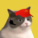SwimmingCat