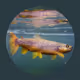 crypt0fish