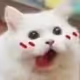 0x0954976227a59956d57d412193d3162c75dd78f6
