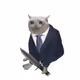 CashCatGuys