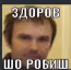 ZDOROVSHOROBISH