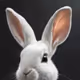 WHATTHEBLEEP