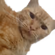 AbonsLifes