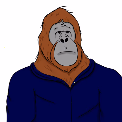 OpenSea profile picture for @Ortan