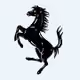 Chad_Horse