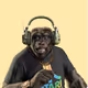 Macky_Trades_NFTs