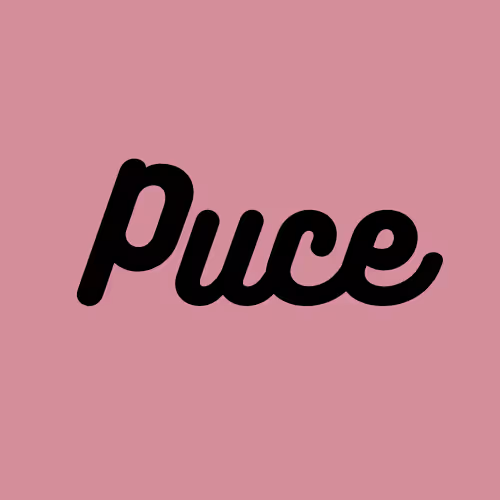 OpenSea profile picture for @Puce