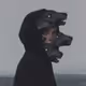 aerosucks