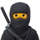 NinjaVanish
