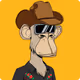 SpaceCowboyApe