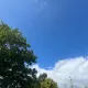 966977.eth