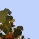 0x0ad0cc635e7486089726da4166dc05718ac386ee