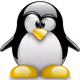NJKLPWXRTHV