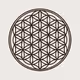 8888Geometry8888