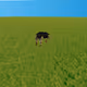Rich_Apes_NFT