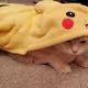 Vierz