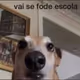 Dezan