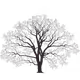 b2b9f7