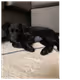 Casa_De_Sadie