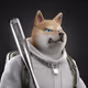 DVMAJESTIC